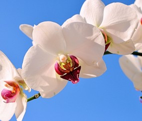 江苏正规助孕捐卵机构，附正规捐卵机构报名表！